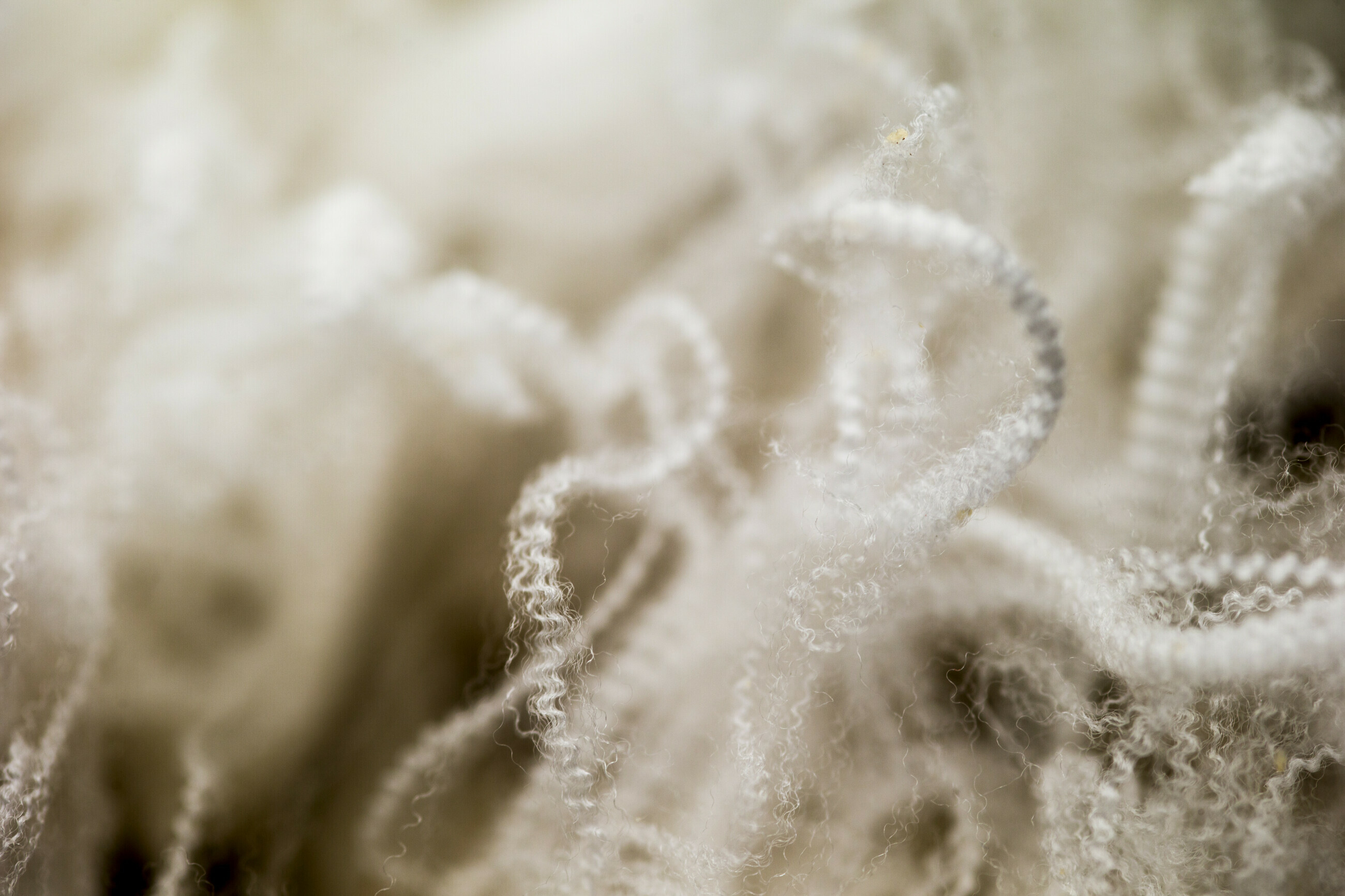 AA_Embrace_Wool
